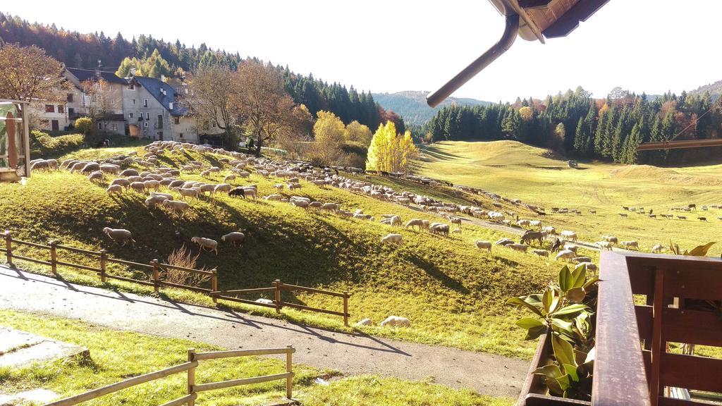 Casa Camilla Holiday Folgaria Bagian luar foto