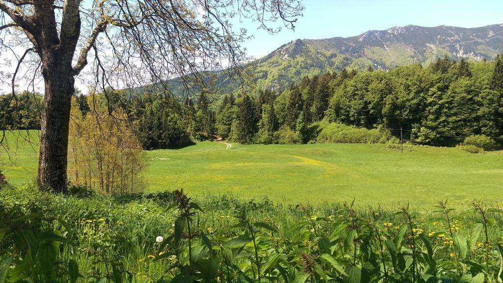 Casa Camilla Holiday Folgaria Bagian luar foto